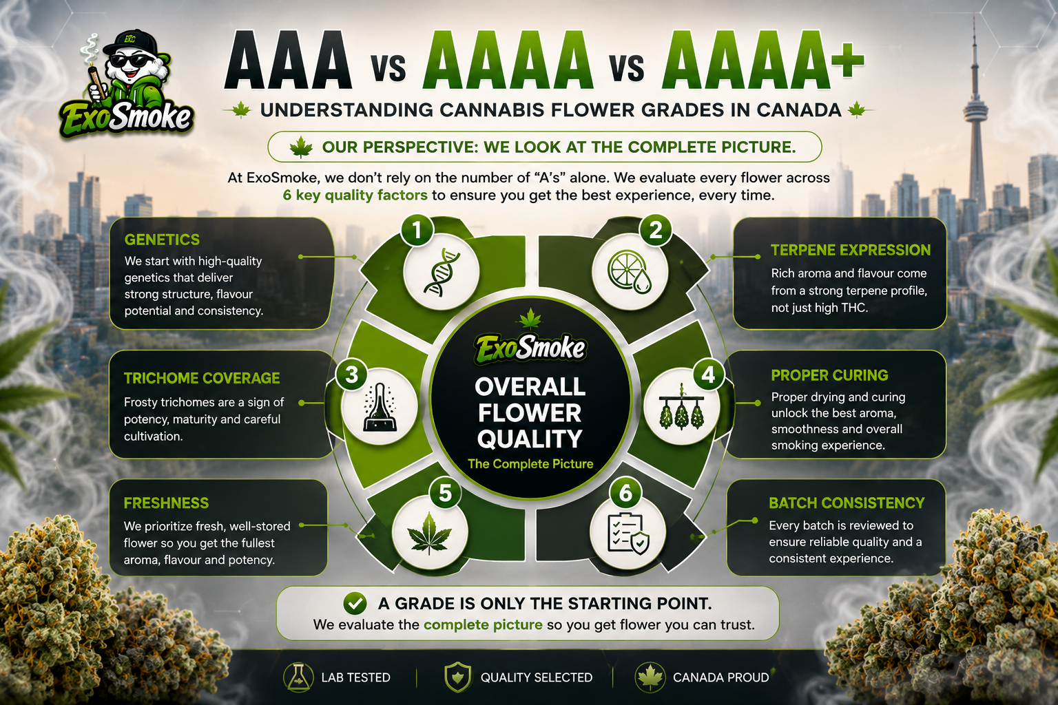 Infographic showing ExoSmoke's cannabis flower quality framework, explaining how AAA, AAAA and AAAA+ flower are evaluated using genetics, terpene expression, trichome coverage, curing, freshness and batch consistency in Canada.