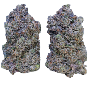 Astro Pink (AAAA+)