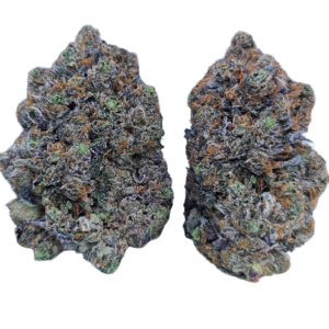 Loud Zaza