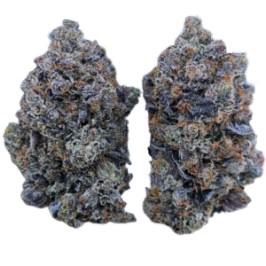 Pink Paradise (AAAA+)