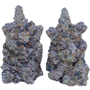 Pink Paranoia (AAAA+)