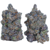 Pink Raptor (AAAA+)
