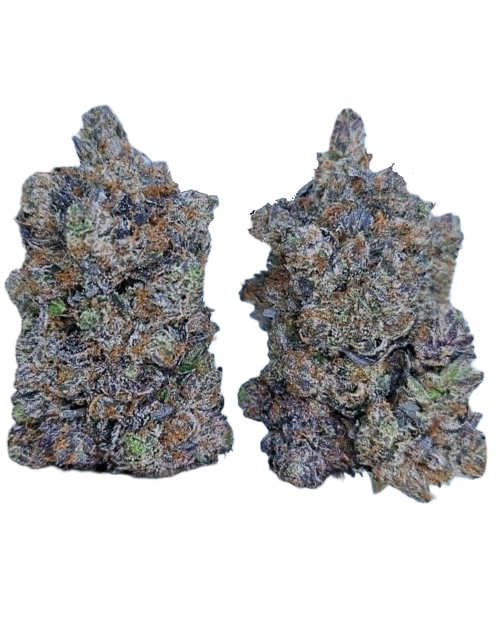 Pink Raptor (AAAA+)