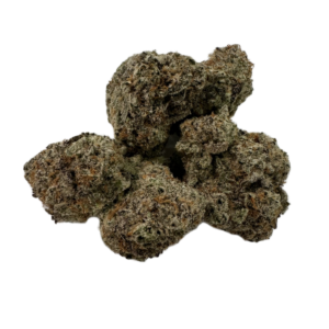 Powdered Donut