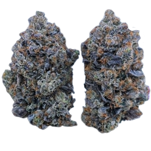 Purple Venom Kush (AAAA+)