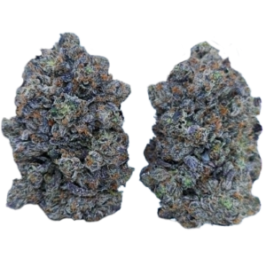 Versace Kush (AAAA+)