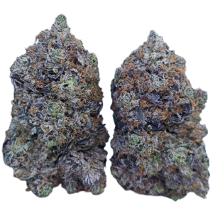Pink Champagne (AAAA+)
